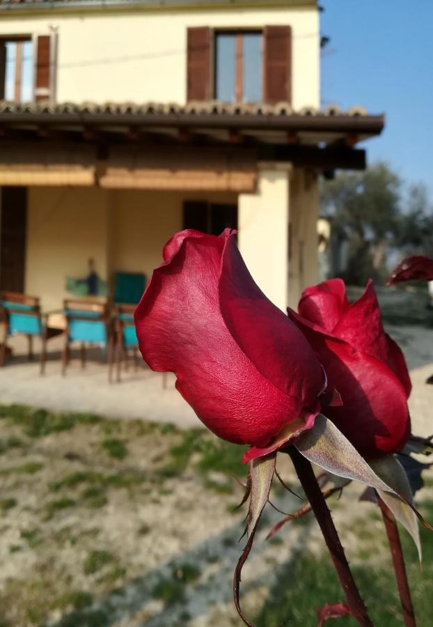 B&B Conca Del Pretore Loreto Aprutino Exteriör bild