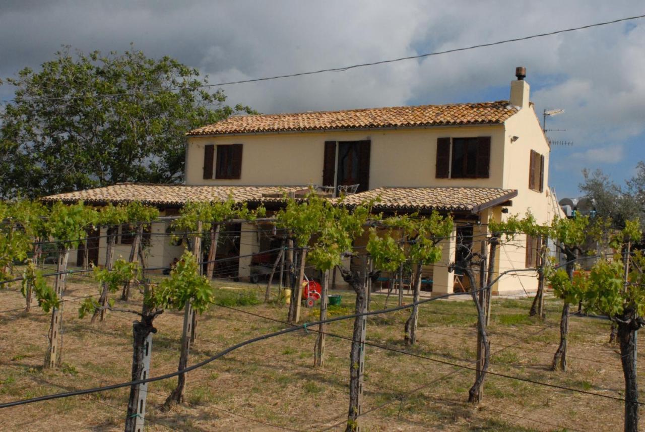 B&B Conca Del Pretore Loreto Aprutino Exteriör bild