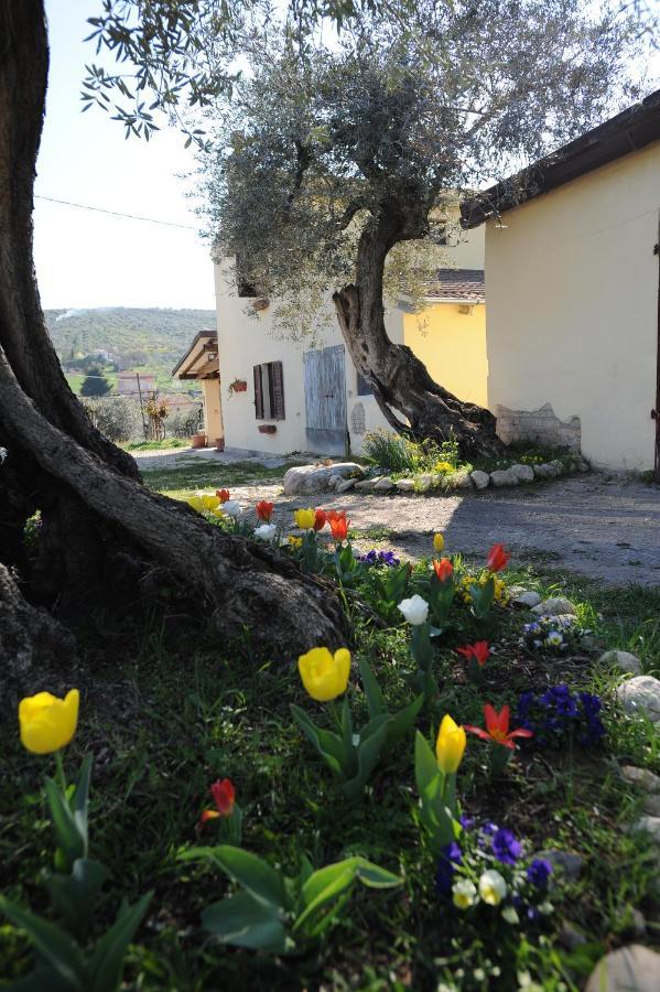 B&B Conca Del Pretore Loreto Aprutino Exteriör bild
