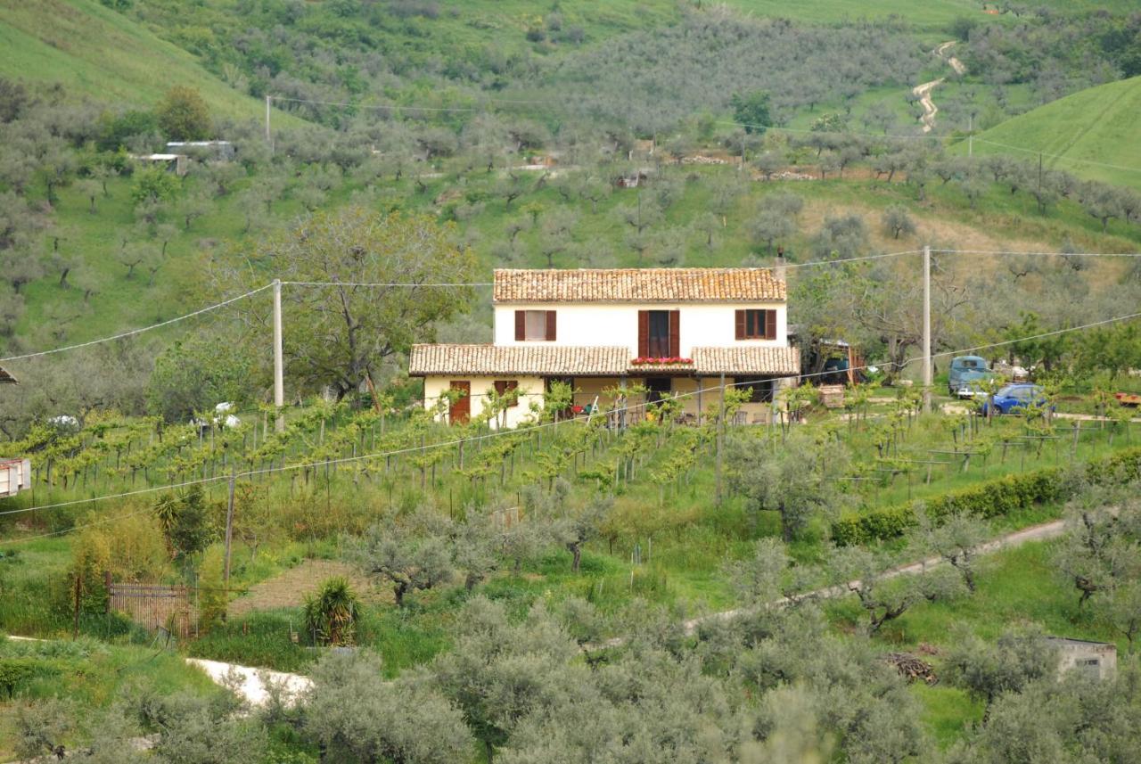 B&B Conca Del Pretore Loreto Aprutino Exteriör bild