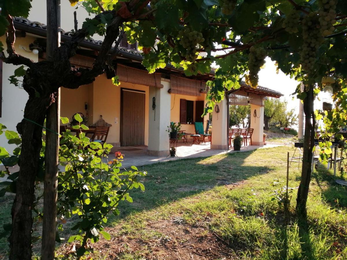 B&B Conca Del Pretore Loreto Aprutino Exteriör bild