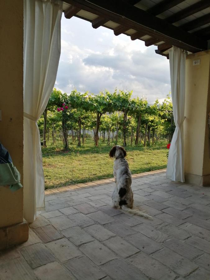 B&B Conca Del Pretore Loreto Aprutino Exteriör bild