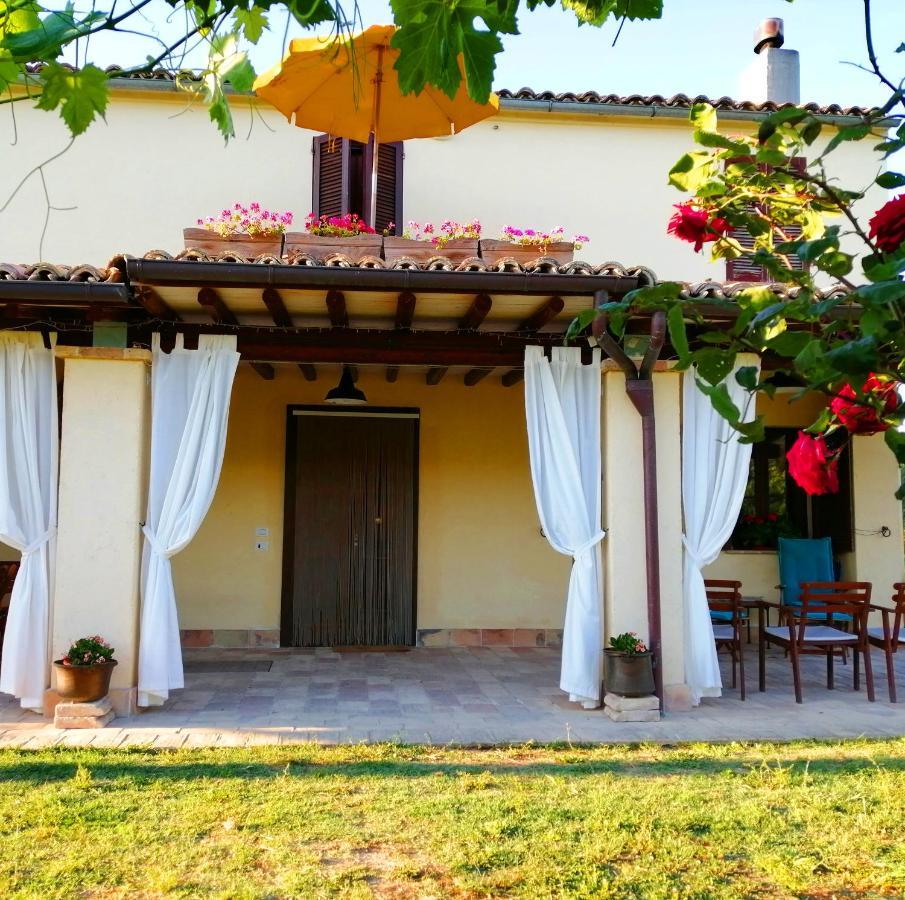 B&B Conca Del Pretore Loreto Aprutino Exteriör bild